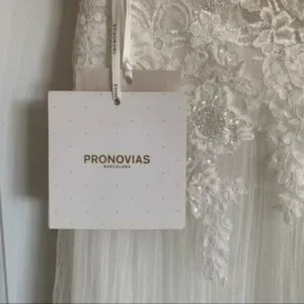 Pronovias Draconia Wedding Dress - Picture 11 of 13